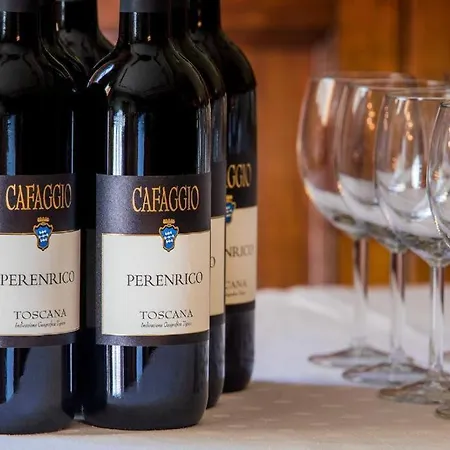 Castello Di Cafaggio Suites * Impruneta